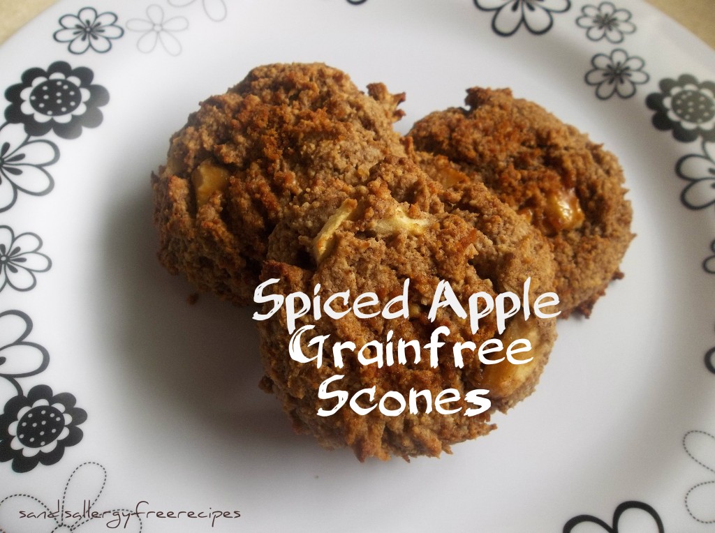 Spiced Apple Grainfree Scones