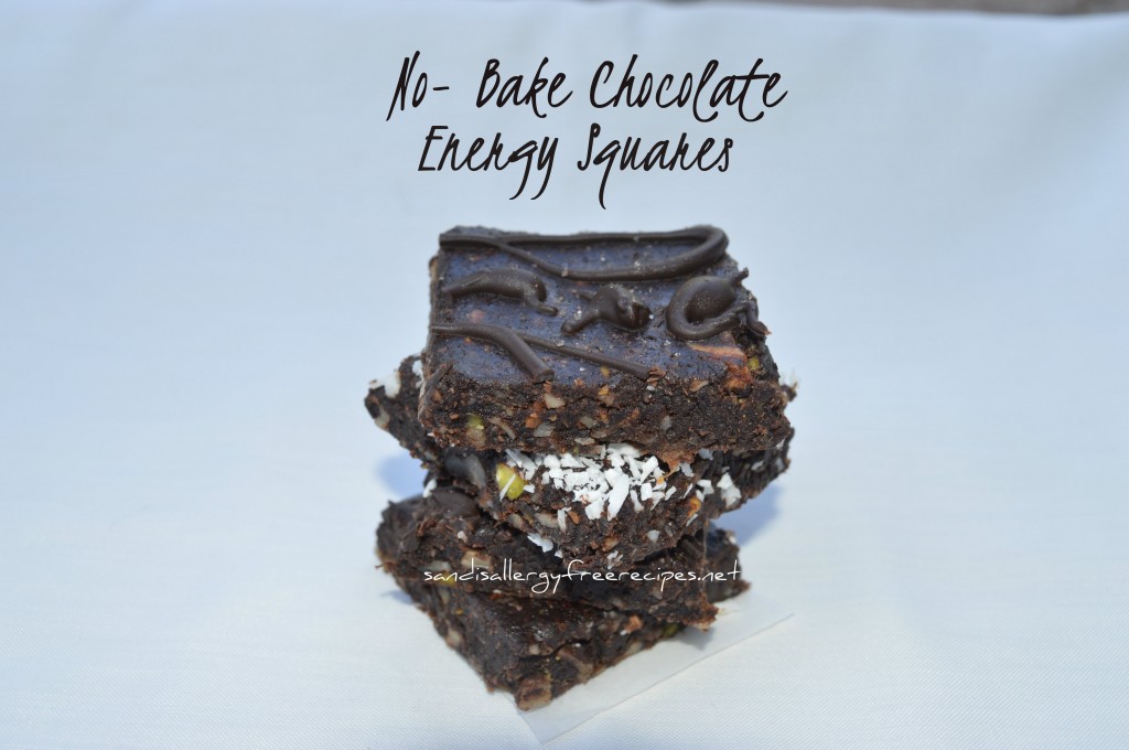 No-Bake Chocolate Energy Squares