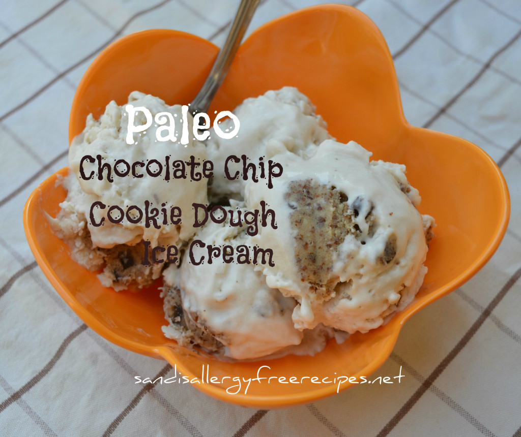 Paleo Chocolate Chip Dough Ice-Cream