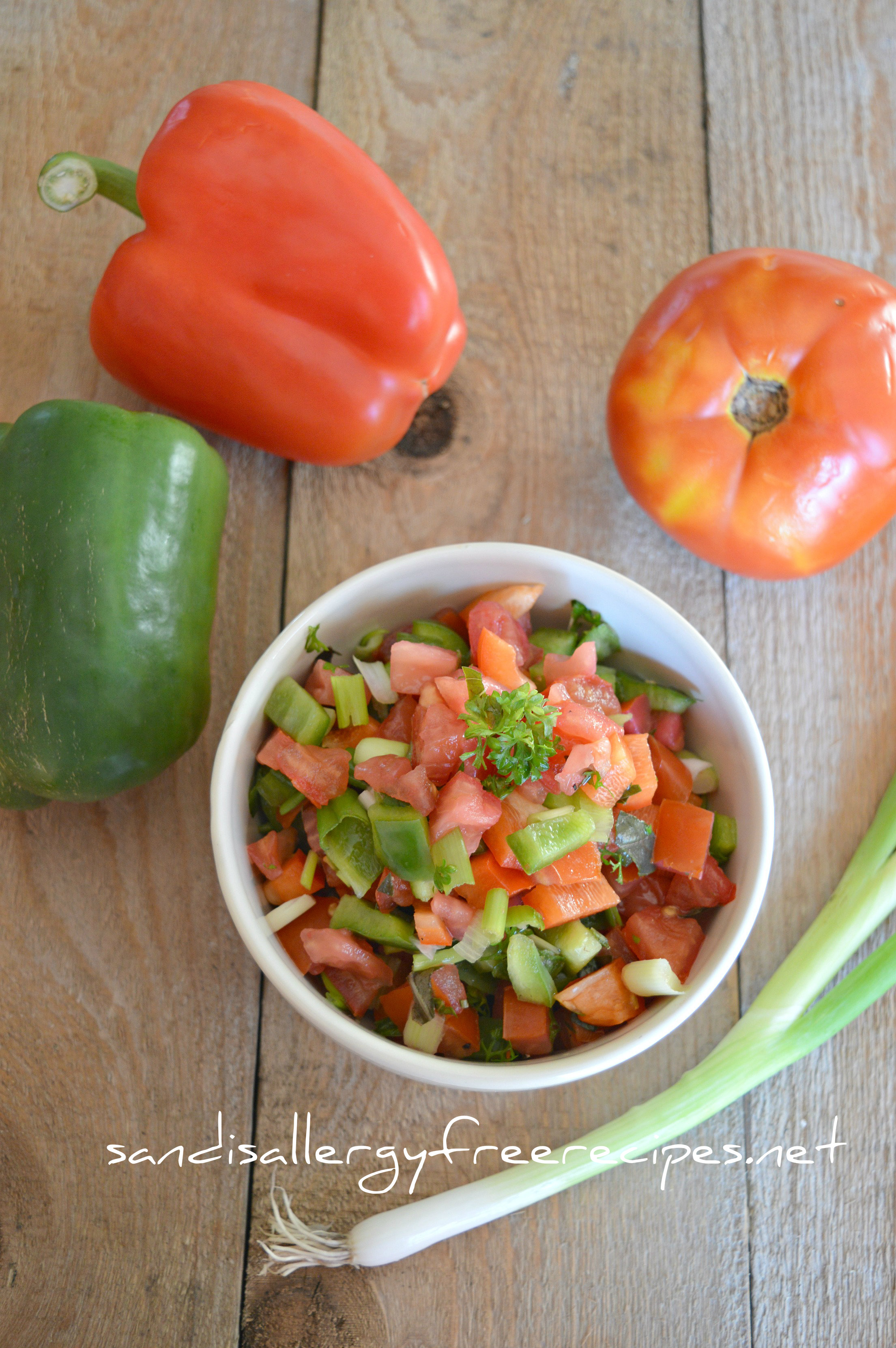 Fresh Garden Salsa (Paleo/ Gluten Free/ Dairy Free/ Vegan) | SANDI\'S ...