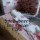 Strawberry Ice Cream Cake (Dairy Free/ Refined Sugar Free/ Gluten Free)