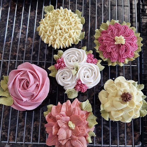 Regular Cupcakes